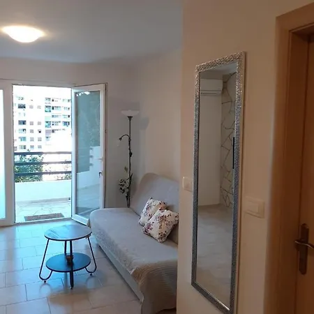 Apartment Spacious In A Quiet Neighborhood Split